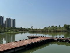 -九里湖国家湿地公园