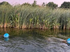 -迪士尼小镇