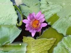 -三亚南山文化旅游区