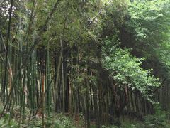 -同里国家湿地公园