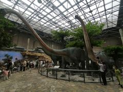 -国家自然博物馆