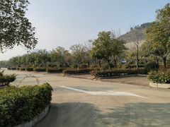 -习家池