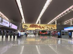 -合肥新桥国际机场-航站楼