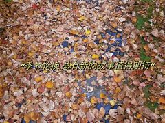 -太阳岛旅游度假区