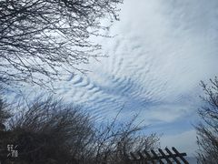 -华山风景名胜区