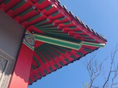 -广富林郊野公园