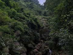 -南海湾森林生态园