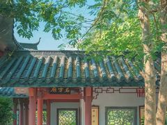 -广州神农草堂中医药博物馆