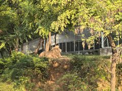 -石家庄市动物园