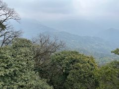 -青城山