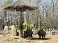 -北京野生动物园