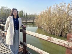-西青郊野公园