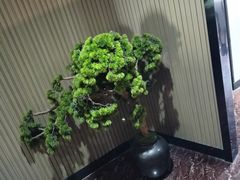 -上足·影院足道·SPA(红岭店)