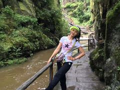 -五营红松林海景区