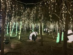 -河北村民俗体验园