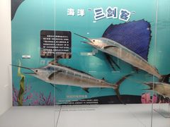 -陕西自然博物馆