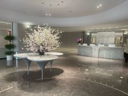 -广州美莱医疗美容医院