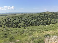 -五角枫生态旅游景区