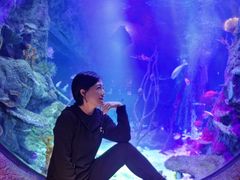 -沈阳海洋探索中心