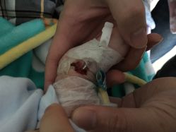 -苏州大学附属儿童医院(景德路院区)