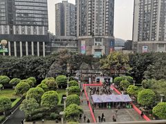 -重庆医科大学附属第一医院(本部)