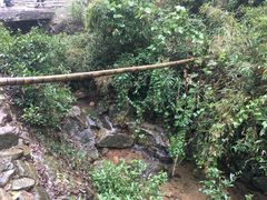 -仙霞关景区