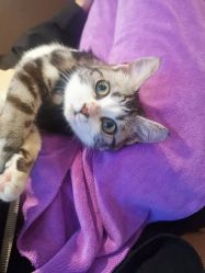 -长沙纹身·龙堂刺青·三土师傅的店