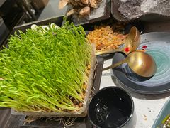 -火鳳祥美蛙牛肉自助(青悦城店)