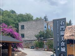 -苍山世界地质公园·石门关大峡谷
