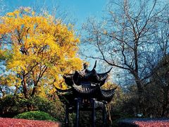 -池州市平天湖风景区
