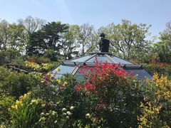 -三鹰之森吉卜力美术馆