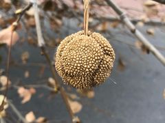 -河北工业大学(北辰校区)