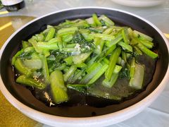 -京北渔家傲