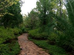 android_upload_pic-五甲塘生态湿地公园