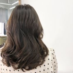 -蚂蚁造型沙龙