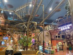 -卡通尼·Safari非洲探索乐园·生日会(金桥国际商业广场店)