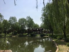 -石家庄市植物园