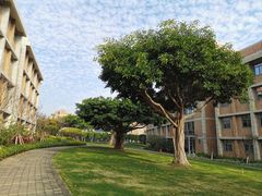 -厦门国家会计学院
