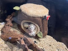 -太平洋海底世界