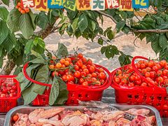 -桃源山庄·水蜜桃采摘·柴火鸡·烧烤团建(龙泉山店)