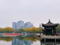 -莲花池公园
