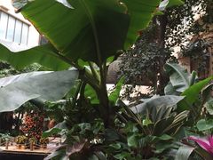 -顺景温泉