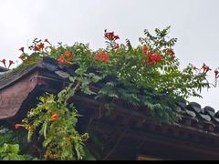 -黄帝千古情