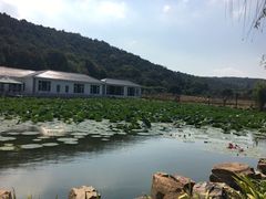 -龙寺生态园