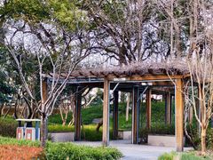 -徐家汇源景区-衡山公园