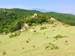 -大姆山草场