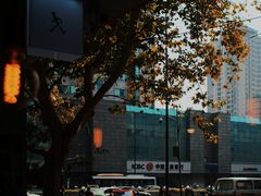 -常识咖啡common sense(春熙路店)