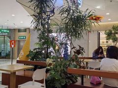 -野人先生Gelato(上海长宁龙之梦店)