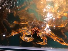 -拉完海鲜大排档(温岭店)
