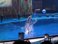 -华夏文旅海洋公园